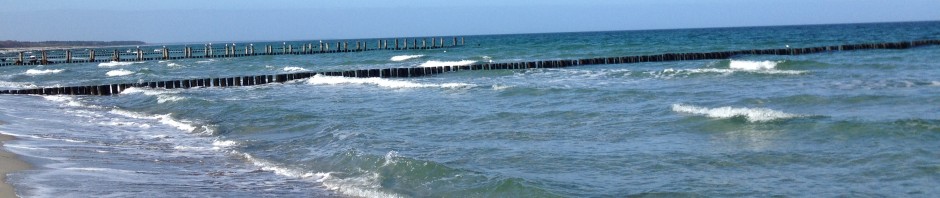 Haus am Hafen in Zingst